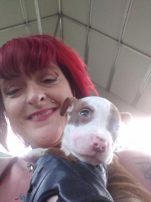 72472931_2530847323621329_1042437778769444864_n