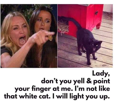 22:31:16 GMT-0800 (PST)