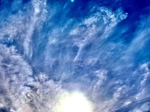 95022784-2425-4A86-9E2A-5728DA8F243F