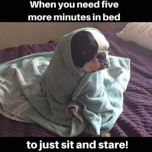 F311B003-AB0E-4789-B1AE-C157DF8C7838