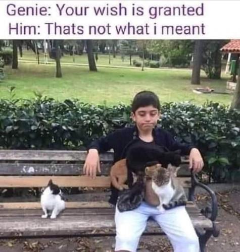 19:38:04 GMT-0600 (CST)