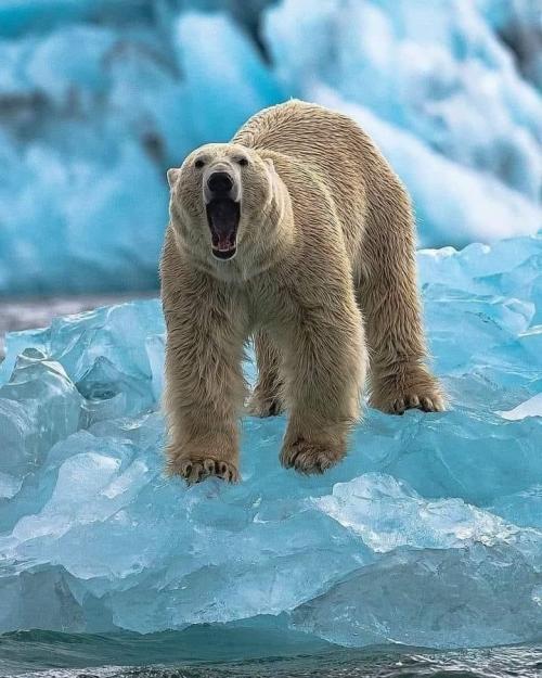 11:59:03 GMT-0800 (AKDT).image