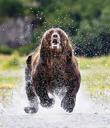 tumblr_a165a0a45d1d9927ef411b02721f4f5b_3eab3e3f_540