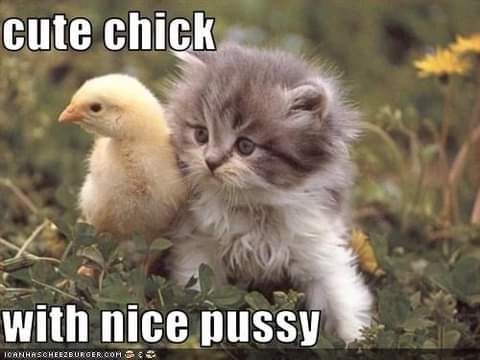 20:43:46 GMT-0800 (PST)