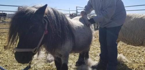 07:23:44 GMT-0800 (PST).image