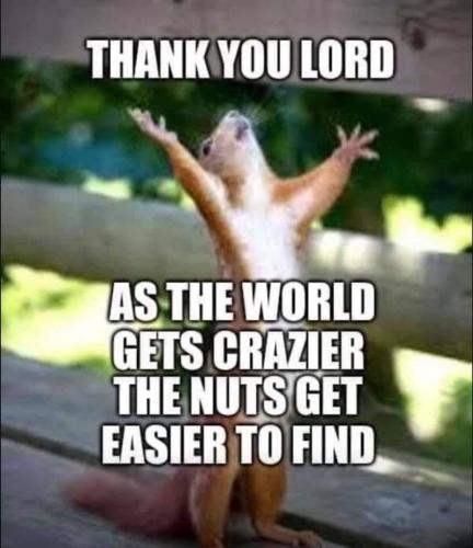 17:50:06 GMT-0600 (CST).image