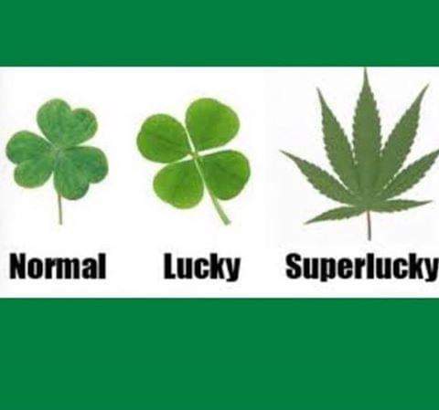 12:46:52 GMT-0400 (EDT)