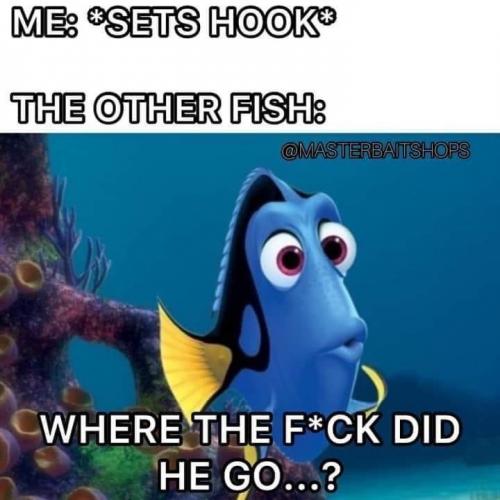 14:16:56 GMT-0600 (CST).image