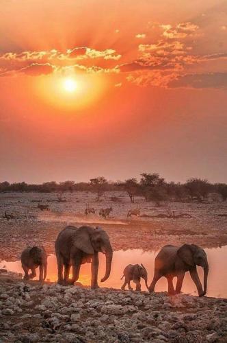 157168369_1526590337540311_753181969759123534_n