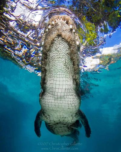 162163466_3620854201359763_4082323005483955047_o