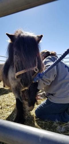 07:23:44 GMT-0800 (PST).image