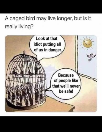 photo_2021-03-16_19-09-14