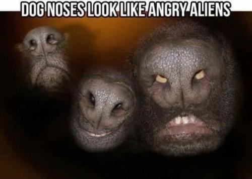 13:10:56 GMT-0400 (EDT)