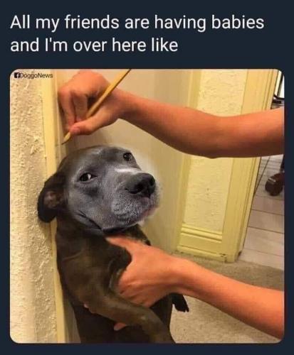 17:59:09 GMT-0400 (EDT)