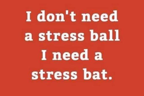 156881280_4146070105425755_2936968622008720949_n