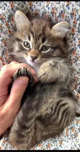 23:35:23 GMT-0500 (CDT)