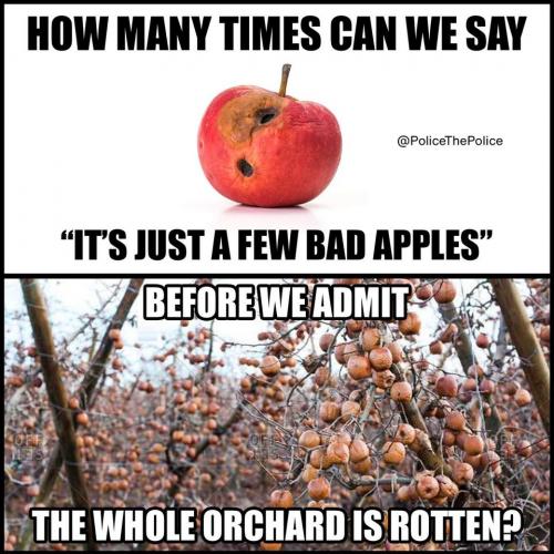 154402577_467153501281039_6750498738663904684_o