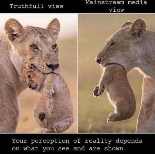 BF175851-F046-4701-A07E-158529AAD966