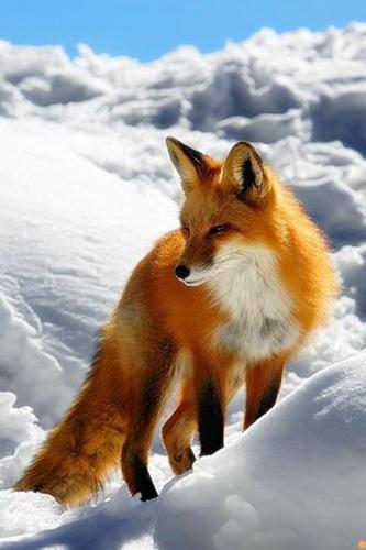 tumblr_a8689773b524a6eb1451f07f722b7789_e6ad59b4_540