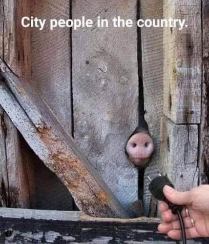 18:11:58 GMT-0800 (PST)