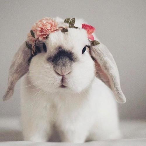 72562633_2786083344757731_7045229340337897472_o