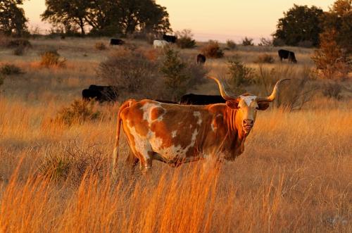 18920124_10207058783028169_5183624286640834028_n