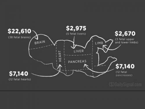 19:01:35 GMT-0400 (EDT).image