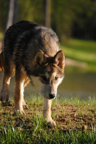 aea52679278da055178c80a51cab9853