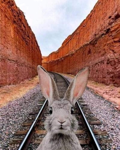 12:01:17 GMT-0400 (EDT)