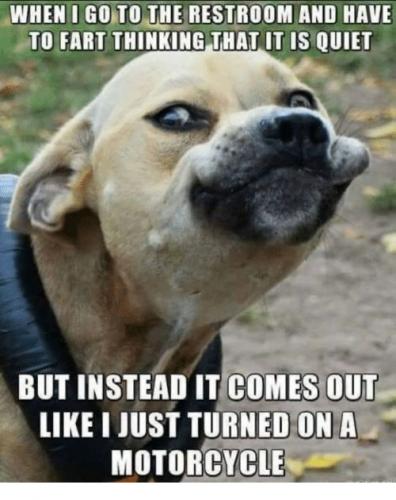 08:14:22 GMT-0600 (MDT).image