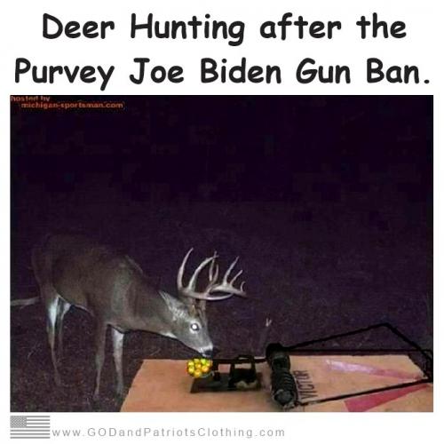 GUNLESS DEER HUNTING