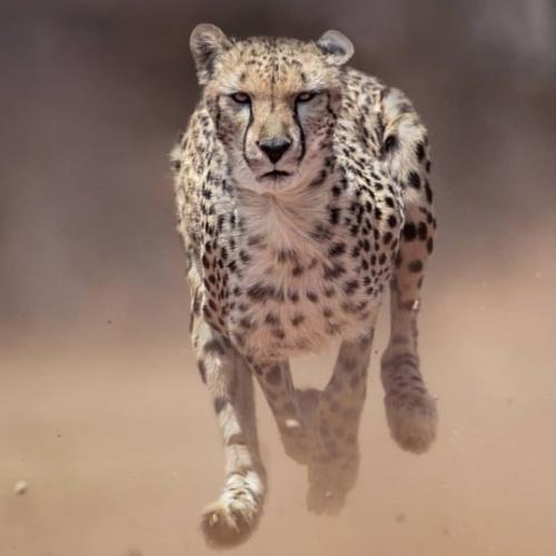 tumblr_15a1f5ac1fac1c8bd5df8f64e952034d_6065ef6f_540