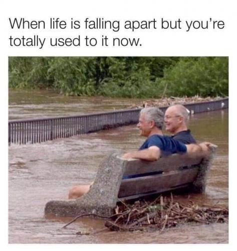 20:36:05 GMT-0400 (EDT)