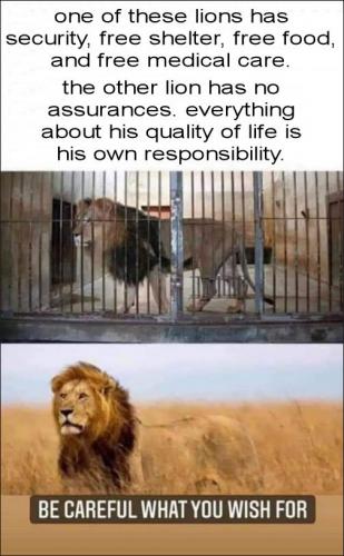 sheeple32