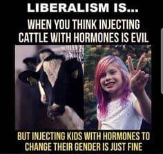 154250015_10227372544846148_8840208207832642993_n