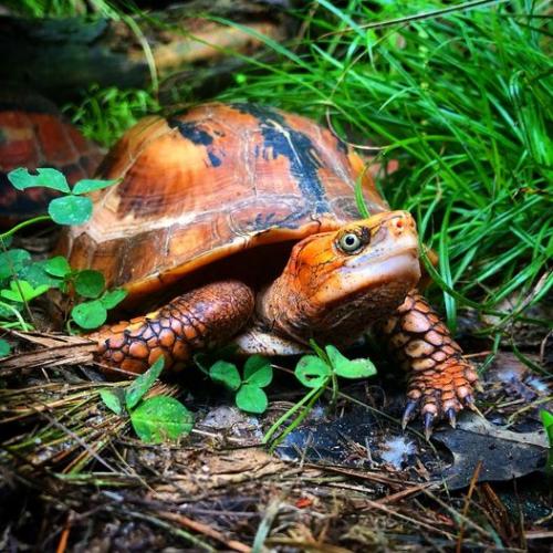 164294433_3636709346440915_5789844652348470680_o