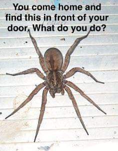 21:32:53 GMT-0700 (PDT)