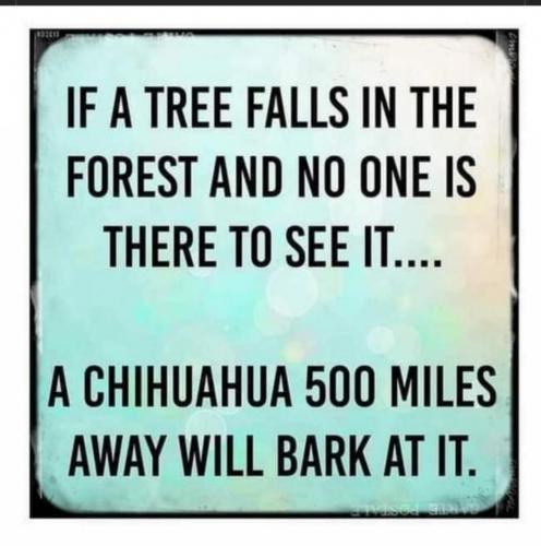 03:33:37 GMT-0600 (CST)