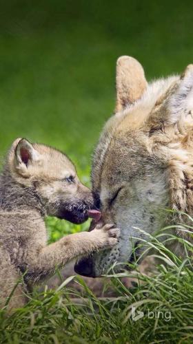 161668019_1535148440017834_1726397655942002400_n