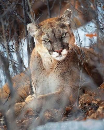 164598020_1828024000697137_4270564591432271683_o