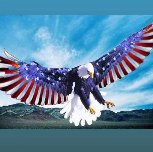 14:13:06 GMT-0500 (EST).image