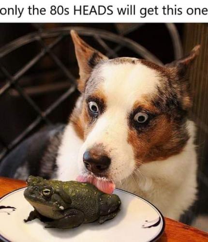 17:15:44 GMT-0800 (PST)