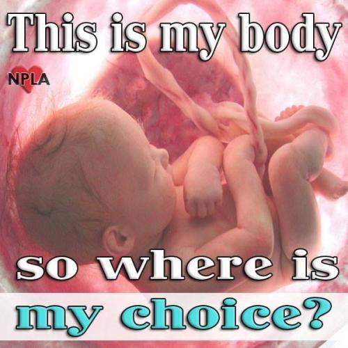 FD94E89C-CCAE-4E8F-8C07-B17C70453C05