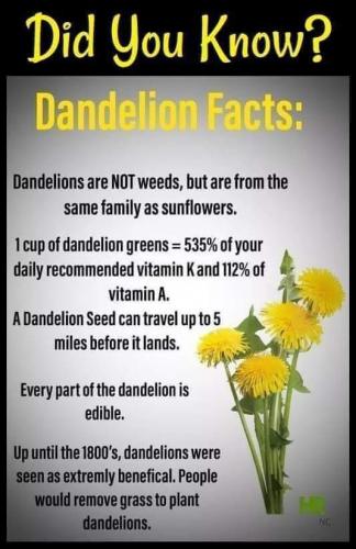 18:15:24 GMT-0600 (MDT)