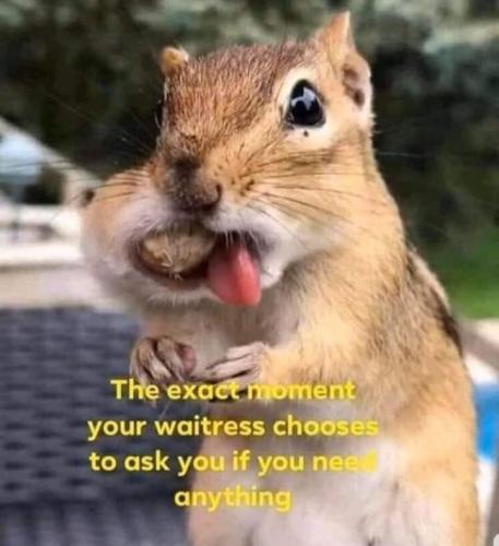 21:56:56 GMT-0800 (PST).image