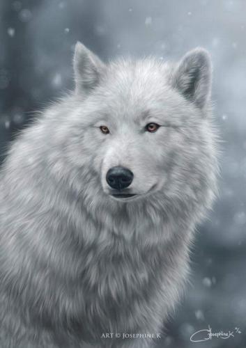 17:12:53 GMT-0600 (CST)