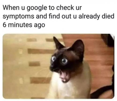 10:32:08 GMT-0400 (EDT)