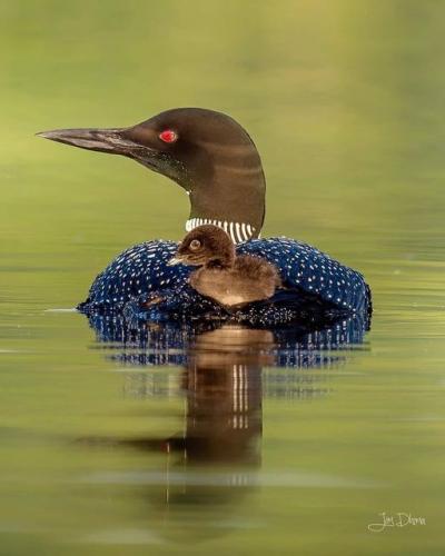 165431369_1830497750449762_8736114134767915011_o