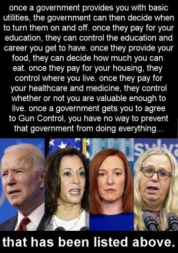 gun control laws05