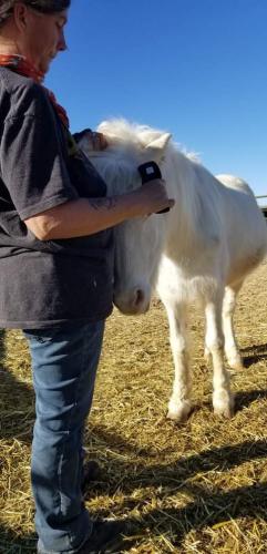 07:39:25 GMT-0800 (PST).image